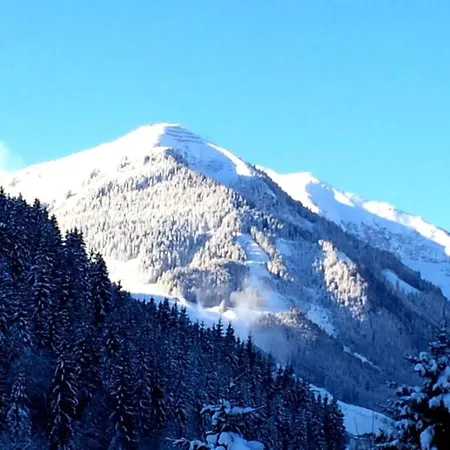 아파트 In Near Slopes 잘바흐 힌터글렘