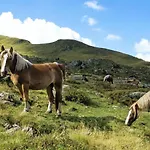 In Near Slopes