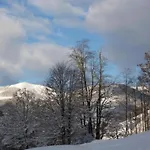 In Near Slopes * 잘바흐 힌터글렘