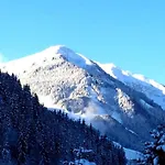 아파트 In Near Slopes 잘바흐 힌터글렘