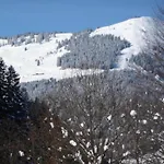 아파트 In Near Slopes 잘바흐 힌터글렘