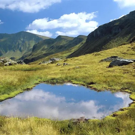 In Near Slopes * Saalbach-Hinterglemm