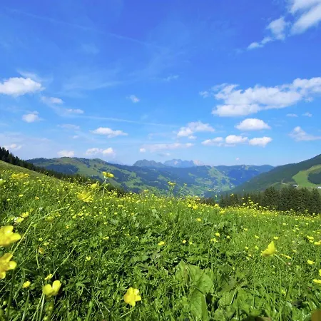 Appealing In Salzburg Near The Area Apartment Saalbach-Hinterglemm