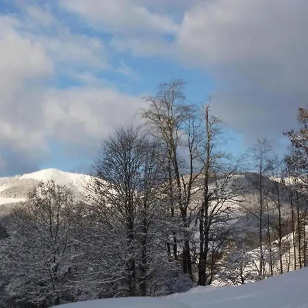 In Near Slopes * Saalbach-Hinterglemm