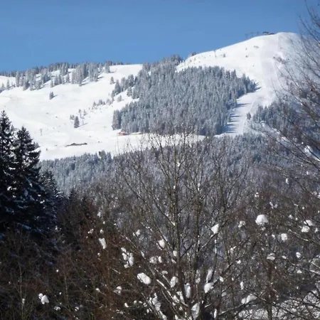 Appartement In Near Slopes Saalbach-Hinterglemm