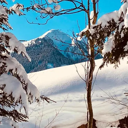 Apartment Appealing In Salzburg Near The Area *