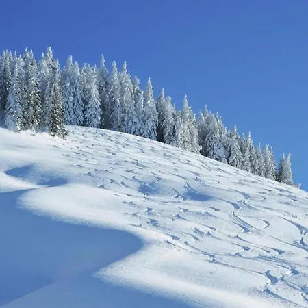 In Near Slopes