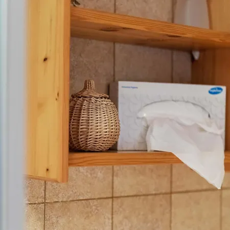 Appartement In Near Slopes *