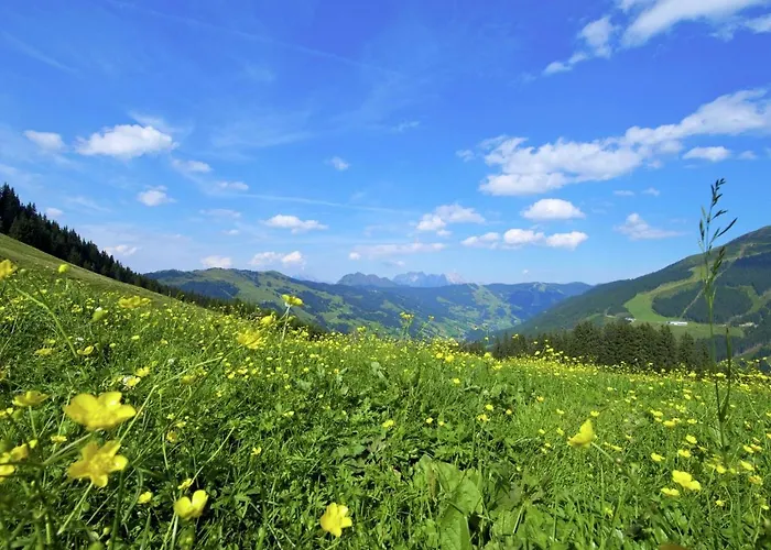In Near Slopes Apartment Saalbach-Hinterglemm