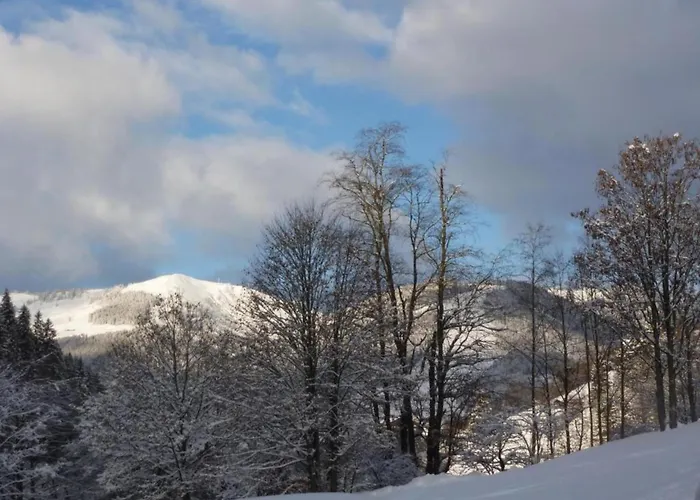 In Near Slopes * Saalbach-Hinterglemm