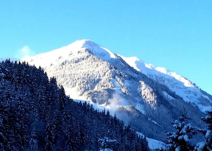 Apartment In Near Slopes Saalbach-Hinterglemm