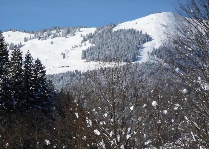 Apartment In Near Slopes Saalbach-Hinterglemm