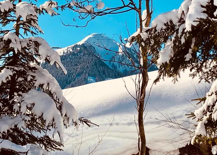 Apartment In Near Slopes *